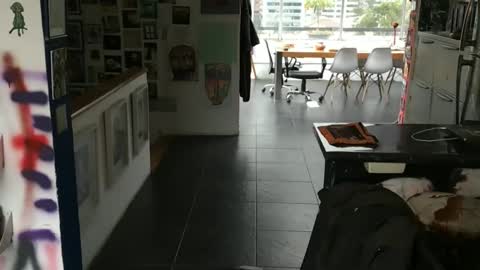 jjose978249 online show from 02-23-26, 11:02