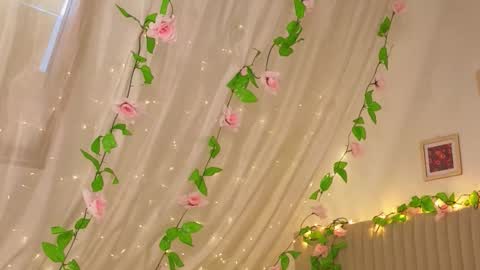 Joe online show from 01-17-26, 04:39