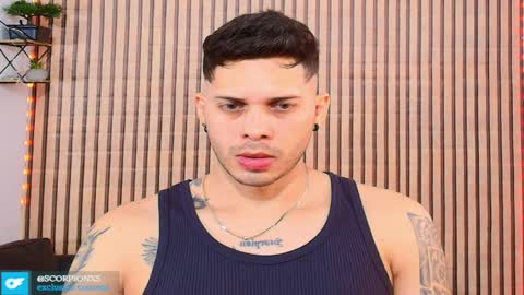 johan speitzer online show from 04-07-26, 03:40