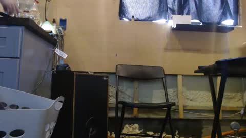 Snapshot of johnplayer23 chatting on 12-22-25, 04:59 johnplayer23 online show from 12-22-25, 04:59