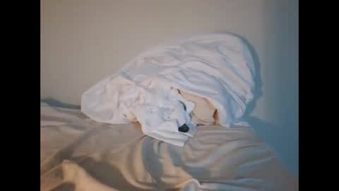 jojooo27 online show from 02-14-26, 06:48