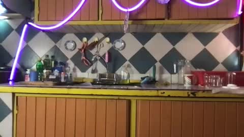 Jony Marta GMT 2000-0100 every day online show from 11-19-25, 06:30