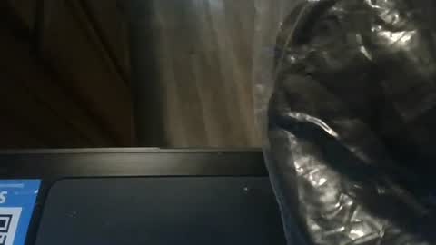 Snapshot of josephung1 chatting on 01-08-25, 11:09 sissy josphine online show from 01-08-25, 11:09