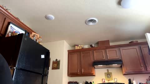 Snapshot of josephung1 chatting on 01-17-25, 08:22 sissy josphine online show from 01-17-25, 08:22