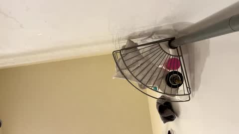 Snapshot of josephung1 chatting on 02-15-25, 06:23 sissy josphine online show from 02-15-25, 06:23