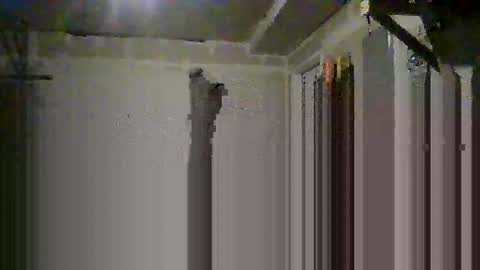 Snapshot of josephung1 chatting on 10-14-25, 06:36 sissy josphine online show from 10-14-25, 06:36