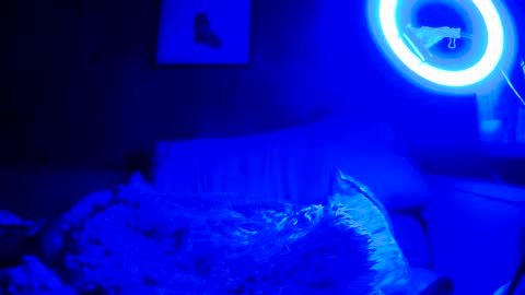 Snapshot of jroge21 chatting on 03-09-25, 03:22 jroge21 online show from 03-09-25, 03:22