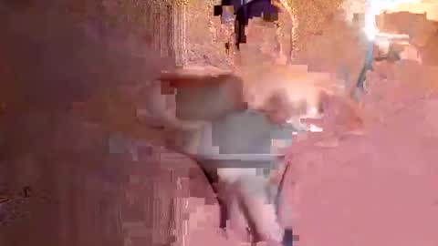 juan575390 online show from 12-17-24, 01:07