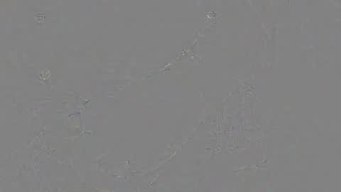 Jrgen Schnfeld online show from 11-24-25, 10:48