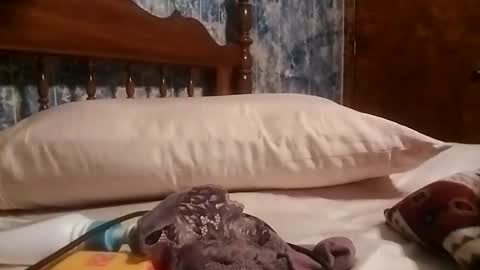 Snapshot of juicyj322 chatting on 01-19-25, 09:11 juicyj322 online show from 01-19-25, 09:11