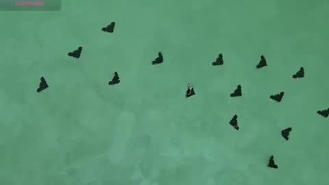 Julia online show from 11-05-25, 08:47