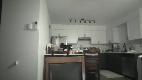 Sav online show from 12-05-25, 05:05