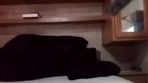 Juish5521 online show from 03-03-25, 12:26