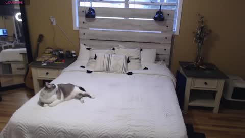 Texas Mamasita online show from 01-03-25, 03:33