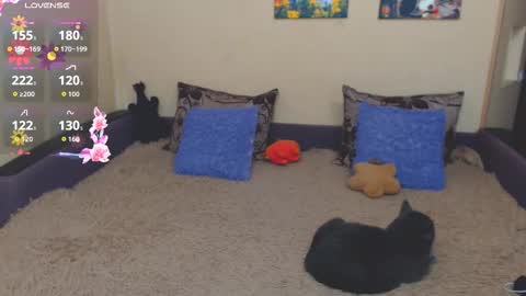 Snapshot of juliasane_ chatting on 02-21-26, 02:40 Jul online show from 02-21-26, 02:40