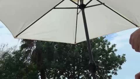 Julie and TheAverageGuy aka Max online show from 09-19-25, 01:45