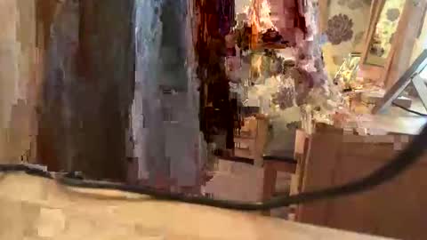 brian online show from 11-06-25, 01:56