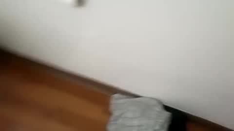 Snapshot of junior69king chatting on 01-01-25, 06:15 manolito online show from 01-01-25, 06:15