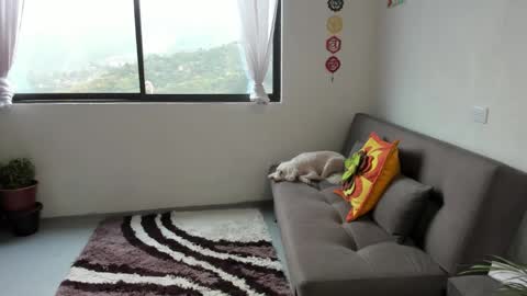 Sofia online show from 03-07-25, 02:34