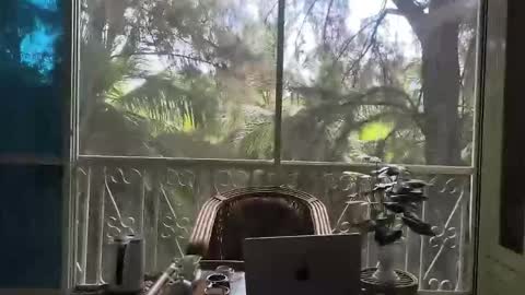 just_place online show from 12-02-25, 06:19