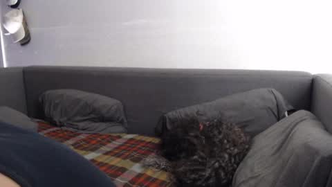 justasucker4u online show from 11-20-25, 01:44