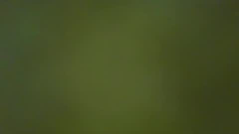 Snapshot of justbuff4 chatting on 01-23-25, 05:10 McKeefer online show from 01-23-25, 05:10