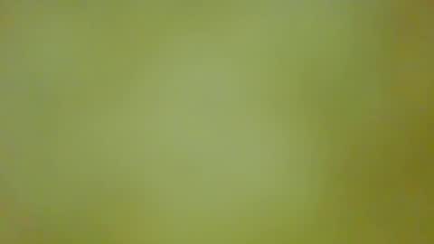 Snapshot of justbuff4 chatting on 09-13-25, 05:46 McKeefer online show from 09-13-25, 05:46