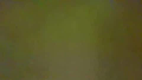 Snapshot of justbuff4 chatting on 02-21-26, 04:52 McKeefer online show from 02-21-26, 04:52