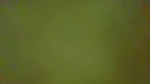 Snapshot of justbuff4 chatting on 02-25-26, 02:37 McKeefer online show from 02-25-26, 02:37