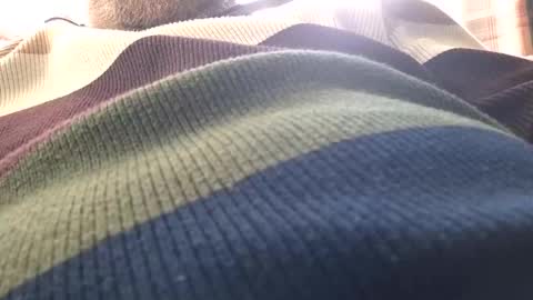Snapshot of justenjoyingurcompany chatting on 02-27-25, 11:41 justenjoyingurcompany online show from 02-27-25, 11:41