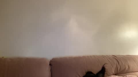 Jess online show from 03-02-26, 04:36