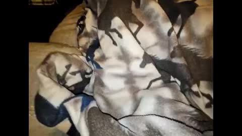 justswack online show from 12-07-24, 08:44