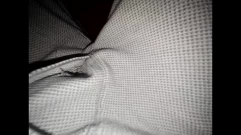 justswack online show from 12-08-24, 06:54