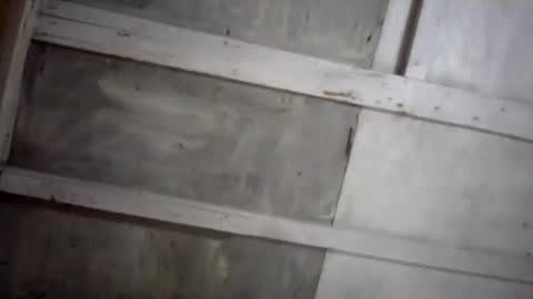 Snapshot of kakaroto30102 chatting on 02-17-25, 08:09 kakaroto30102 online show from 02-17-25, 08:09