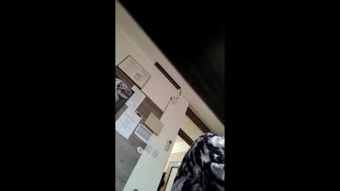          online show from 12-17-25, 08:53