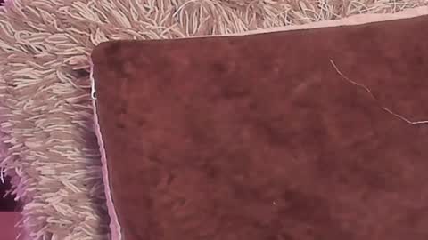 KaliMonroe online show from 12-29-24, 05:22