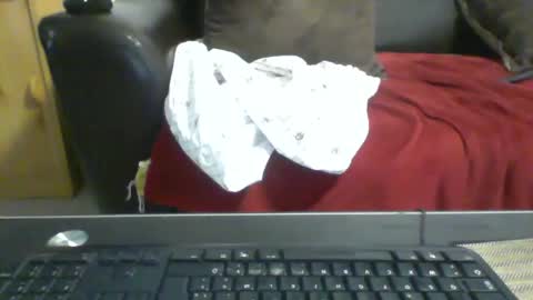 Snapshot of kamkiko69 chatting on 12-09-24, 12:51 kamkiko69 online show from 12-09-24, 12:51