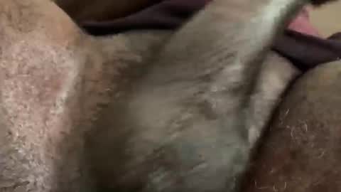 Snapshot of karadi5 chatting on 12-05-24, 09:39 Snookie online show from 12-05-24, 09:39