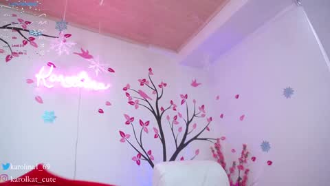 Snapshot of karolkat_1 chatting on 12-12-24, 05:26 Karolina 3 online show from 12-12-24, 05:26