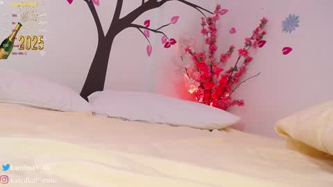 Snapshot of karolkat_1 chatting on 01-04-25, 05:37 Karolina 3 online show from 01-04-25, 05:37