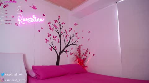 Snapshot of karolkat_1 chatting on 01-27-25, 04:22 Karolina 3 online show from 01-27-25, 04:22