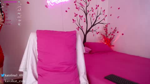 Snapshot of karolkat_1 chatting on 01-28-25, 12:54 Karolina 3 online show from 01-28-25, 12:54
