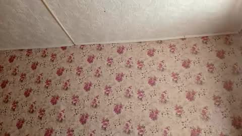 Snapshot of karoncabeza chatting on 02-27-26, 07:19 Sara online show from 02-27-26, 07:19