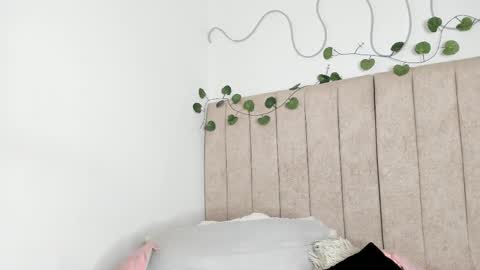           online show from 01-12-26, 08:58