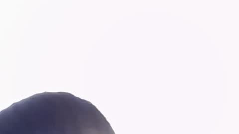 Help me with rate thanks  online show from 11-22-25, 06:29