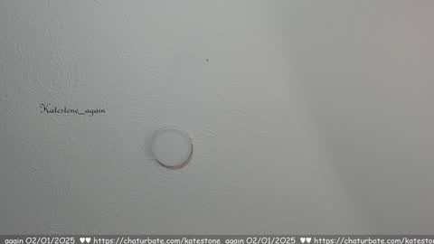 Snapshot of katestone_again chatting on 01-02-25, 03:40 love meeee online show from 01-02-25, 03:40