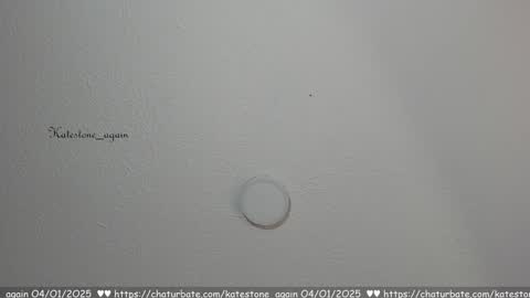 Snapshot of katestone_again chatting on 01-04-25, 02:35 love meeee online show from 01-04-25, 02:35
