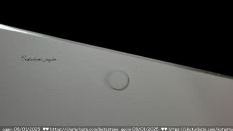 Snapshot of katestone_again chatting on 01-08-25, 03:07 love meeee online show from 01-08-25, 03:07