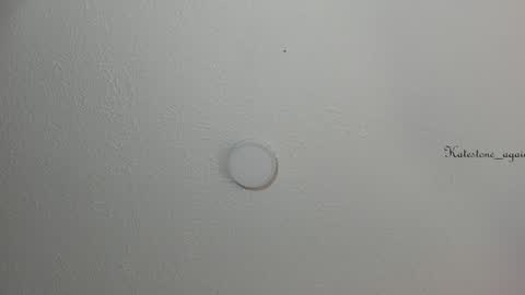 Snapshot of katestone_again chatting on 01-28-25, 04:52 love meeee online show from 01-28-25, 04:52