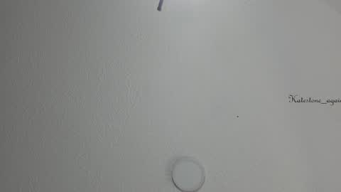 Snapshot of katestone_again chatting on 02-06-25, 03:20 love meeee online show from 02-06-25, 03:20